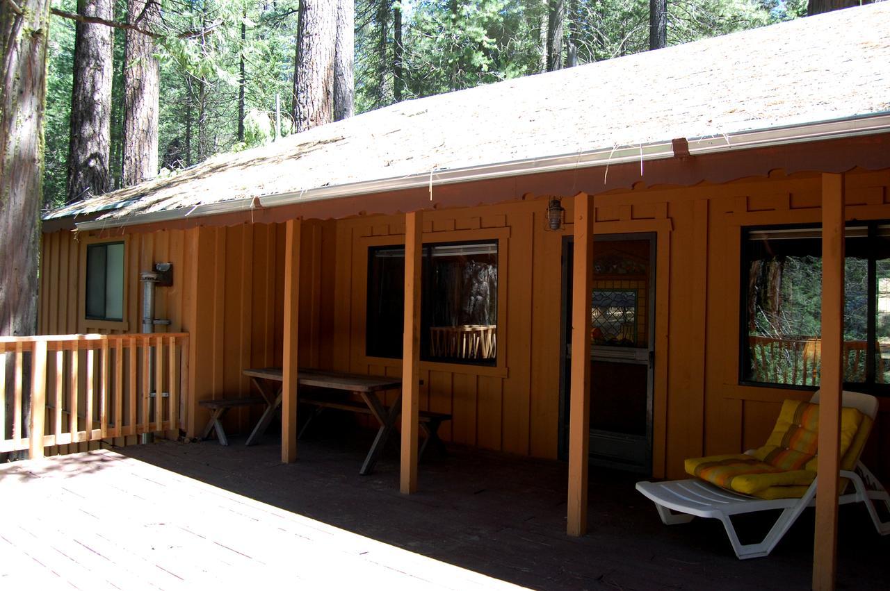 9S Pine Cabin South Wawona Luaran gambar